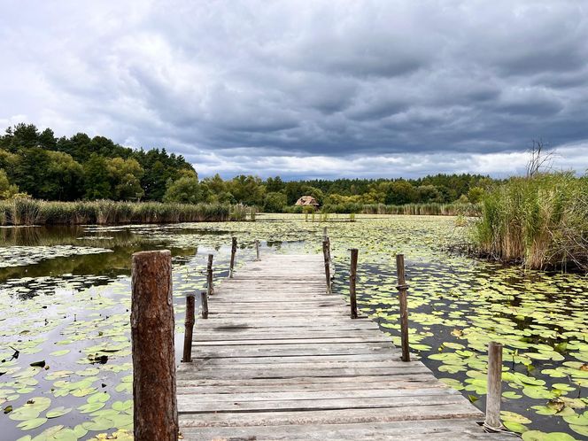 Skansen w Kolbuszowej. Tu kręono hit Netflixa "1670"