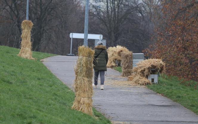 12-latek roztrzaskał się o ławkę. Urzędnicy reagują po tragicznej śmierci chłopca