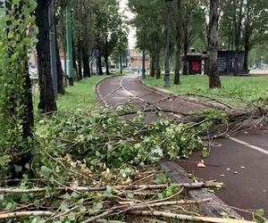 Włochy. Śmiertelna ofiara burz na północy, kilku rannych