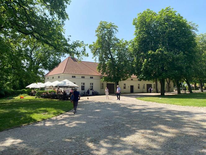 Pałac w Rogalinie zachwyca turystów. Znajduje się 20 kilometrów od Poznania 