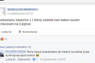 Grupy studenckie w Rzeszowie: Te ogłoszenia zaskakują i bawią do łez [TOP 10]