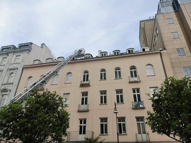 Złodziejka schowała się na dachu 