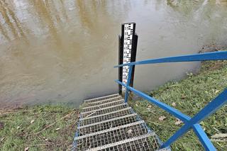 5 młodych osób zgineło w Boże Narodzenie