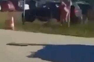 Seks na parkingu lotniska w Pyrzowicach? Para robiła to na oczach kierowcy autobusu 