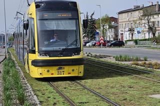 Chwalą się zielenią w centrum Torunia i pokazują zdjęcia. Tak wyglądają torowiska i nie tylko