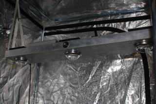 Wielka akcja policji w Podlaskiem. Zlikwidowali plantację konopi. 29-latek na wiele lat może trafić do więzienia