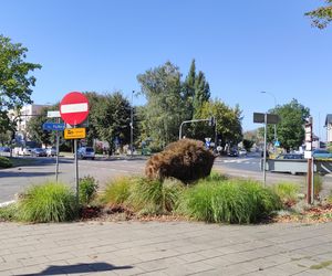 Piękne, ale opuszczone. AI wybrało najgorsze miasto do życia na Podlasiu