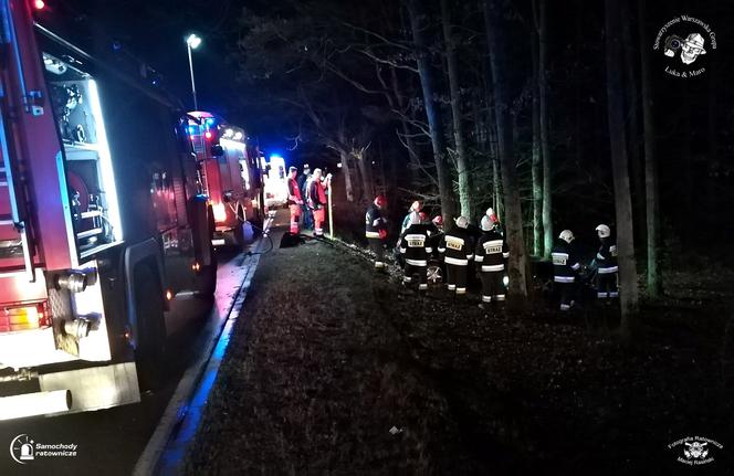 BMW rozbiło się na drzewie