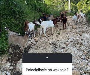 Z ostatniej chwili! Michał Żebrowski uwięziony przez kataklizm! Jest tam z żoną i z dziećmi