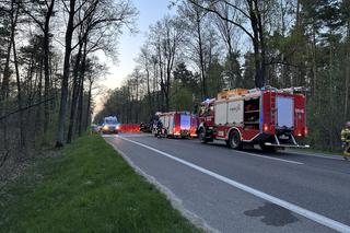 Range Rover roztrzaskał się na drzewie, z auta została miazga. W wypadku zginęła młoda kobieta