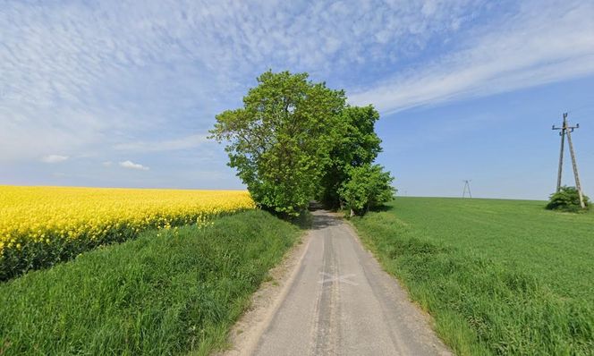 To najmniejsza wieś w Polsce. Ma zaledwie 30 hektarów i tylko kilku mieszkańców