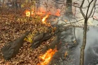 USA: Pożar trawi park na Manhattanie!