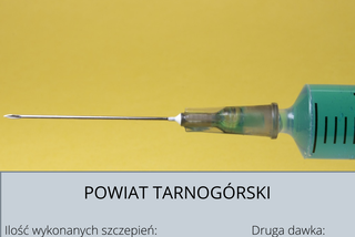 Koronawirus Śląskie. W tych powiatach zaszczepiono najwięcej osób [GALERIA] 