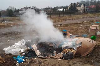 Chcieli nielegalnie pozbyć się śmieci! Sprawcy wypalania zostali ukarani