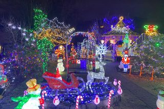 Niewielki ogródek pod blokiem niczym mini Las Vegas. To wyjątkowe miejsce w Zielonej Górze 