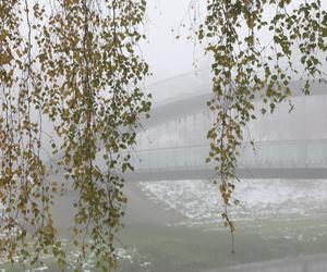 Park Ludowy w Lublinie skąpany we mgle