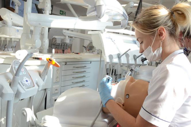 Lalki uczą studentów na lekarzy