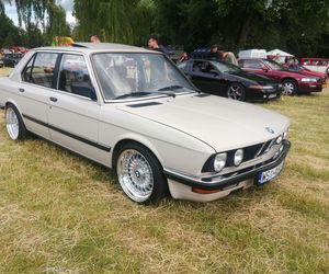 Siedlce:  16. Zlot Pojazdów Zabytkowych „Mrowisko”