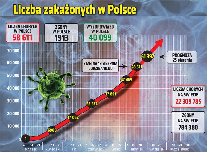Koronawirus w Polsce. Statystyki, wykresy, grafiki (19 sierpnia)