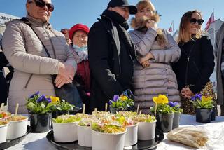 Gorzów: Wiosenna sałatka i bratki na Starym Rynku