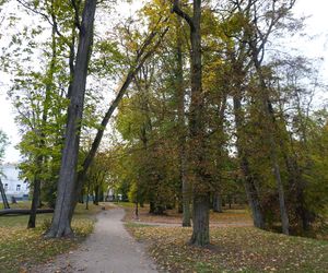 Park Lubomirskich w Białymstoku jesienią 