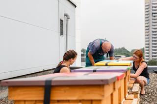 UŚ ma własną pasiekę! Pszczoły zamieszkają na dachu wydziału Prawa i Administracji [GALERIA]