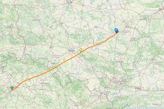 Tajemnicze znalezisko na drzewie w Zduńskiej Woli