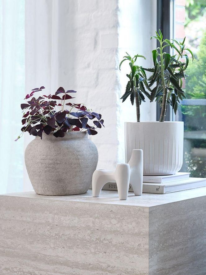 Twoje rośliny ci za nie podziękują. Ceramiczne donice do salonu - jak je wybrać?
