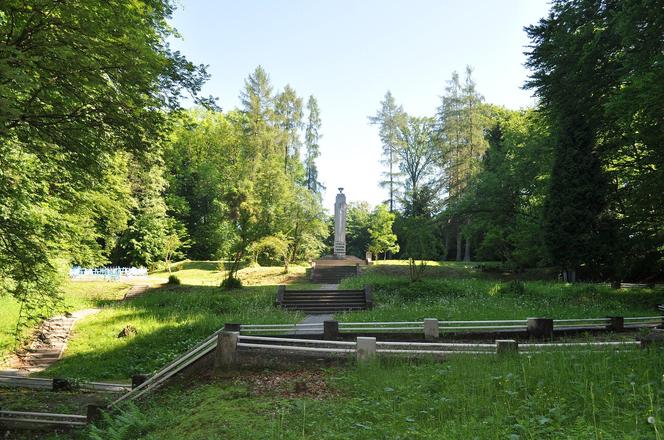 Las Buczyna w Zbylitowskiej Górze. To największy cmentarz ofiar Holocaustu w Polsce