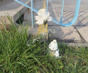 Znicz i biała różyczka. Poruszający widok w miejscu śmierci czterolatka na ul. Jagiellońskiej