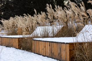 Pole Mokotowskie po remoncie zimą