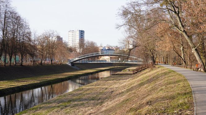 Mieszkańcy Lublina poczuli wiosnę. Na termometrach było ponad 20 stopni! Wiosenna odsłona Parku Ludowego w obiektywie