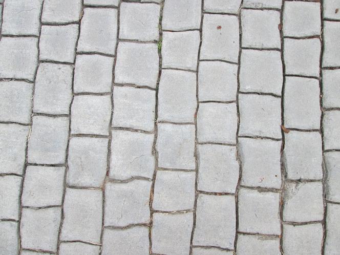 W tych zawodach nie powinno być problemów ze znalezieniem pracy w Toruniu! [GALERIA, TOP 20]