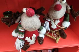 Świąteczna szklarnia idealna na bozonarodzeniową sesję