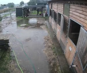 Przystań Ocalenie w Ćwiklicach zalana po ulewnych deszczach. Potrzebna pomoc