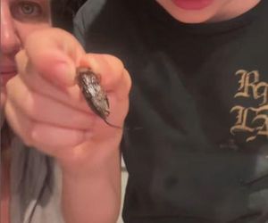 Egzotyka wg Rutkowskich. Krzysztof junior zajada robaki jak chipsy