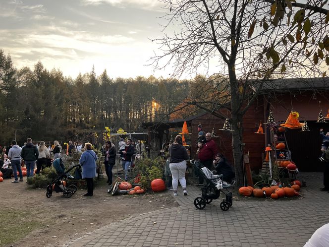 Zagroda 3 siostry w Kamieniu przyciągnęła całe rodziny w ciepły jesienny weekend ZDJĘCIA