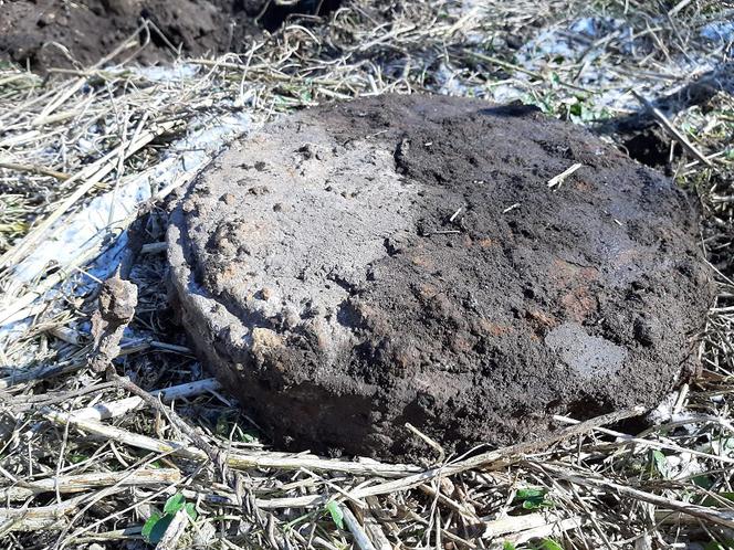 Niebezpieczne znalezisko w lesie koło Gniezna. Interweniowali saperzy 