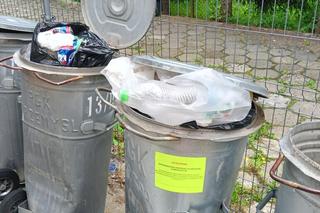 W Przemyślu rozdają żółte i czerwone kartki. Są też kary finansowe! 