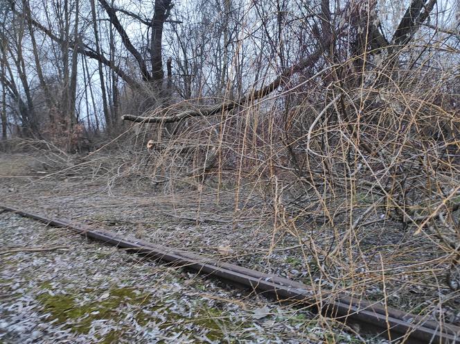 Opuszczona linia tramwajowa do Walcowni