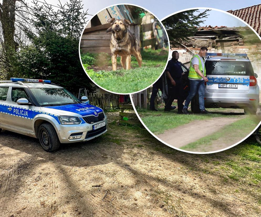Pies zjadł narzędzie przestępstwa? Policja szuka kości, którą żona zraniła męża