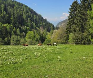 Kobieca przyjaźń w rytmie slow. Nasze dni w sercu Południowego Tyrolu