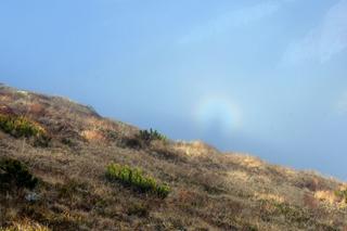 Widmo Brockenu w górach