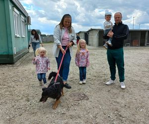 „Wszystkie psiaki nasze są” w schronisku w Henrykowie koło Leszna