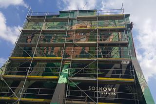 Mural Sosnowy początek w Sosnowcu