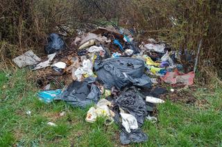 Hałdy odpadów zaśmiecają rezerwat przyrody? Nielegalne wysypisko śmieci niedaleko Jeziorka Czerniakowskiego [ZDJĘCIA, WIDEO]