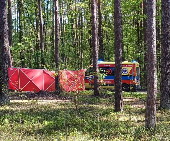 Tragedia w lesie. Nie żyje 14-latka, która spadła z konia 