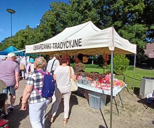 Dożynki Miejskie i Święto Chleba Poznań 2023
