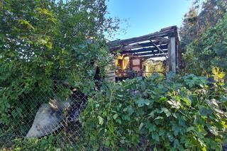 Mirosław zginął przez papierosa. Pożar we wsi Jelonki