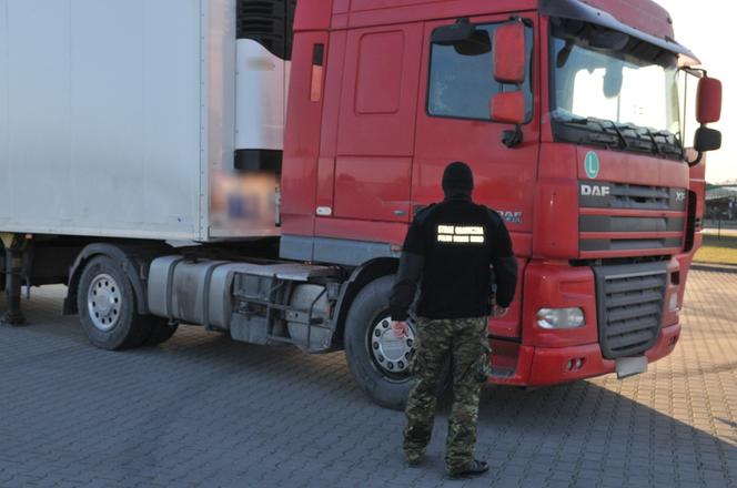 Podejrzana ciężarówka zatrzymana na granicy w Grzechotkach
